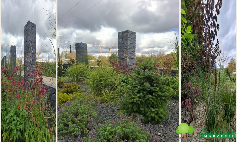 Zakładanie ogrodów